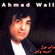 Ahmad Wali's Shaam-e Ghazal